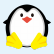 企鹅桌面美化软件 v6.1 官方版