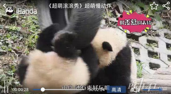 熊猫频道ios版下载