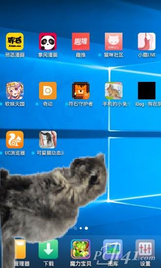 可爱猫动态屏幕app