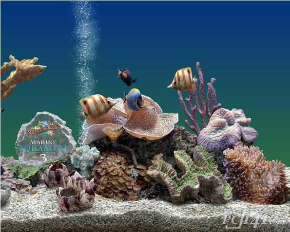 Marine Aquarium免费下载