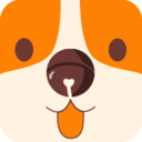 铃铛宠物app v6.0.3