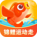 锦鲤运动走安卓版 v1.2.5