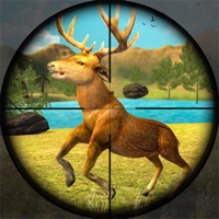 野生动物狩猎冲突中文版 v1.0