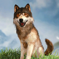 野狼模拟器3D最新版下载 v1.3