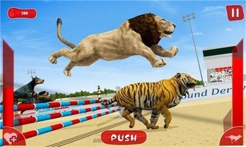 狮子赛跑3d中文版