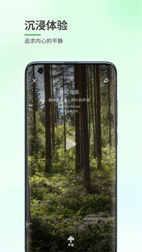 森林白噪音app安卓版
