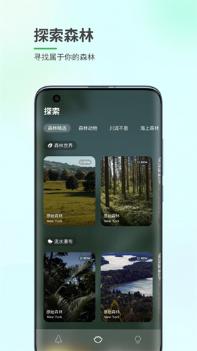 森林白噪音app安卓版