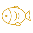 众赢大鱼塘app安卓版 v2.1.0