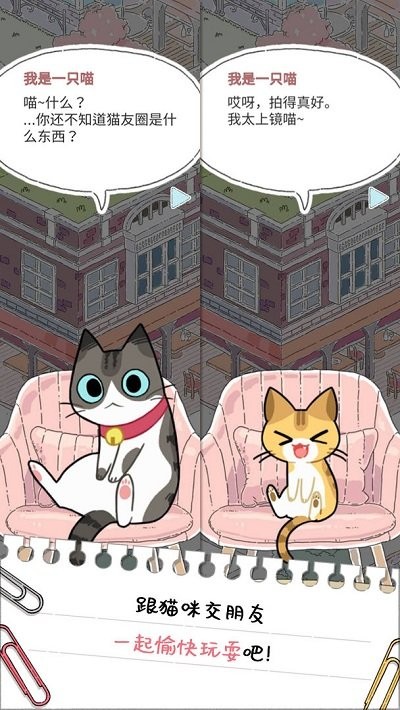猫友圈猫咪的旅行中文版